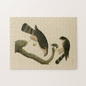 Puzzle Buse à tête blanche des oiseaux d'Amérique d'Audub (Horizontal)