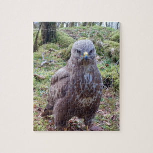 Puzzle Buse grincheuse excentrique avec regard attitude