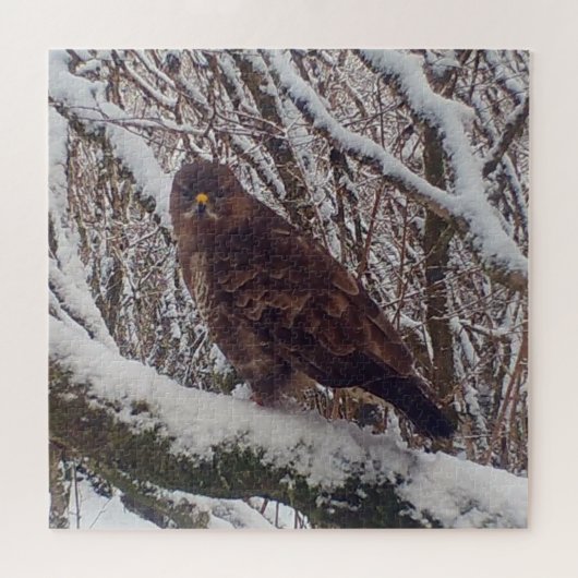 Puzzle Buse sur une branche enneigée Bois hivernal (Horizontal)