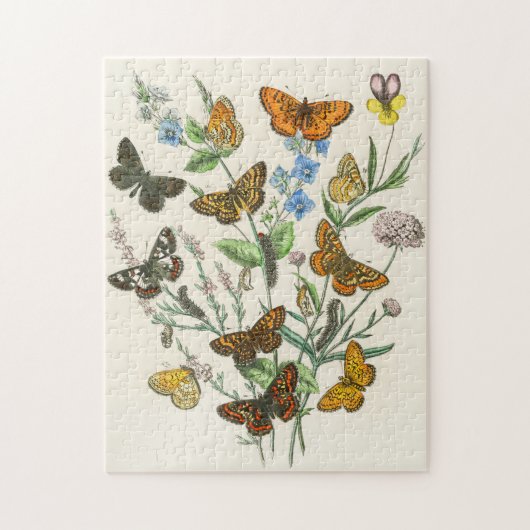 Puzzle Butterflies and Flowers Vintage Illustration 1 (Vertical)
