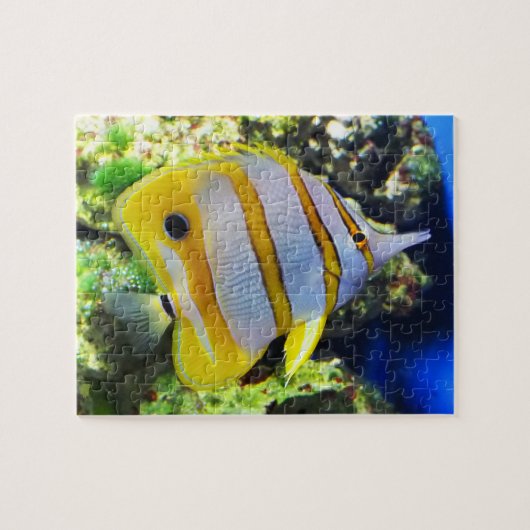 Puzzle Butterfly fish (Horizontal)