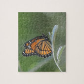 Puzzle Butterfly resting On A Leaf (Vertical)
