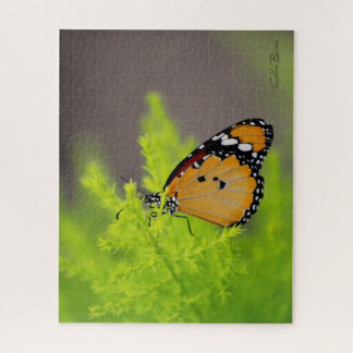 Puzzle Butterfly series - African monarch butterfly
