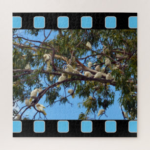 Puzzle Cacatoès australiens sauvages dans des gommiers,