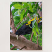 Puzzle Cacique à rayures jaunes (Vertical)