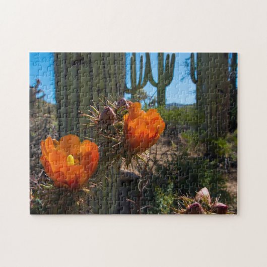 Puzzle - Cacti - Flowers - Arizona Legpuzzel (Horizontaal)