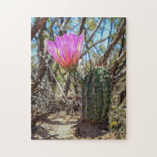 Puzzle cactus (Vertical)