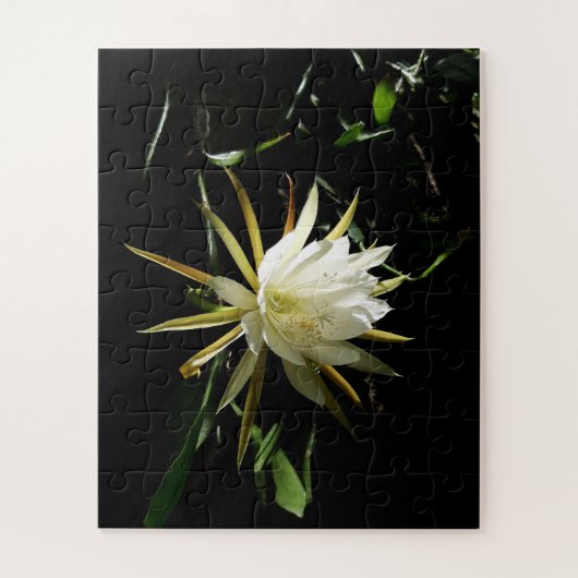 Puzzle Cactus Bloom (Vertical)