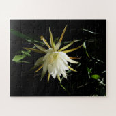 Puzzle Cactus Bloom (Horizontal)