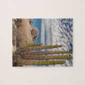 Puzzle Cactus dans le désert Pittoresque (Horizontal)