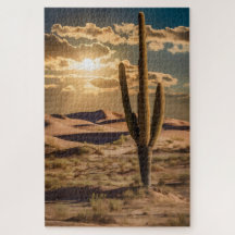 Cactus du désert