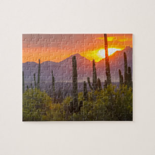 Puzzle Cactus du désert au coucher du soleil, Arizona