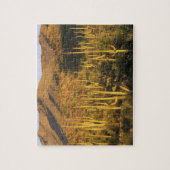 Puzzle Cactus du Saguaro près du parc national du Saguaro (Vertical)