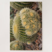 Puzzle Cactus en baril d'or (Vertical)