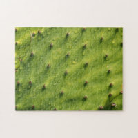 Cactus en gros plan (extrêmement difficile)