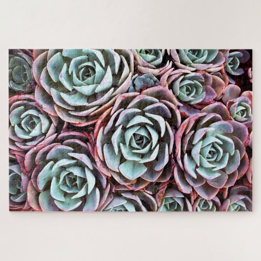 Puzzle Cactus rose succulent, couleur 20 x 30 (Horizontal)