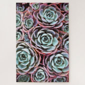 Puzzle Cactus rose succulent, couleur 20 x 30 (Vertical)