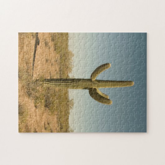 Puzzle Cactus solitaire (Horizontal)