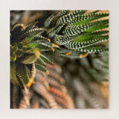 Puzzle Cactus Too (Horizontal)