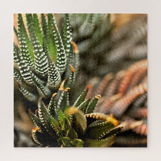 Puzzle Cactus Too (Vertical)