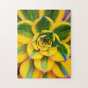 Puzzle Cactus vert jaune rose Photo Beau gros plan