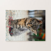 Puzzle Cadeau de conception de chat populaire (Horizontal)