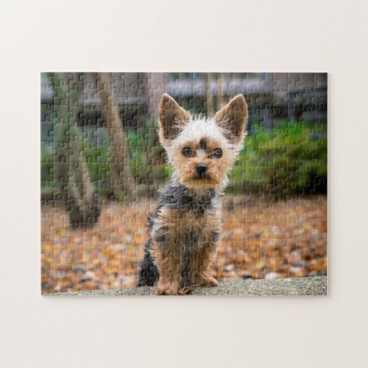 Puzzle Cadeau de conception de chien populaire (Horizontal)