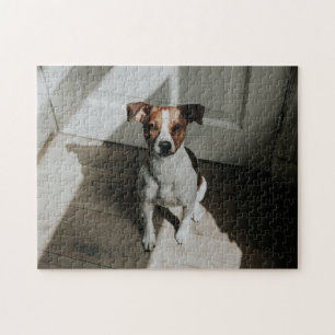 Puzzle Cadeau de conception de chien populaire