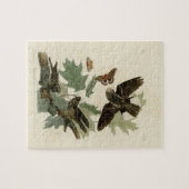 Puzzle Cadeau vintage Audubon Whip pauvre en volonté (Horizontal)