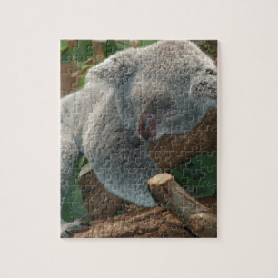 Puzzle Cadeaux de destin d'animaux d'amour d'ours de koal