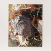 Puzzle Caille Coturnix en feuille (Vertical)