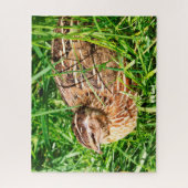 Puzzle Caille Sauvage (Vertical)