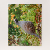 Puzzle Caille Sauvage (Vertical)