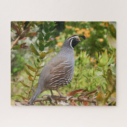Puzzle Caille Sauvage (Horizontal)