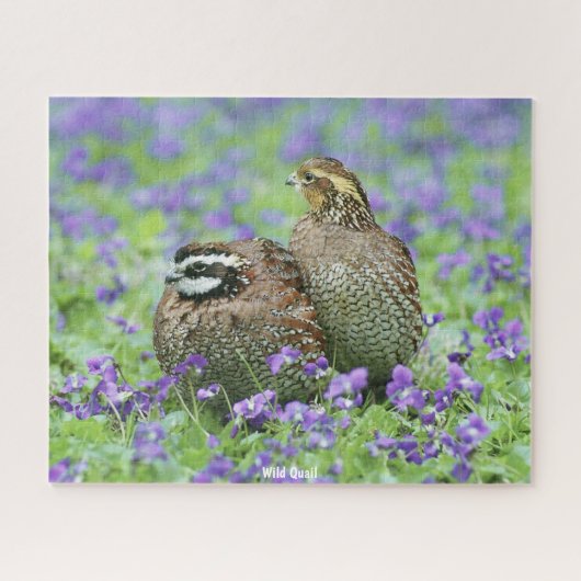 Puzzle Caille Sauvage (Horizontal)