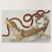 Puzzle Caïmans mangeant un serpent orange et noir (Horizontal)