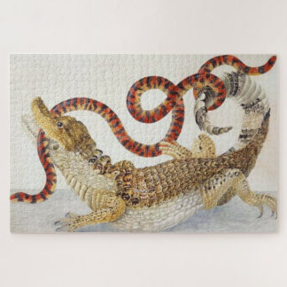 Puzzle Caïmans mangeant un serpent orange et noir