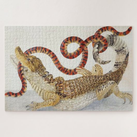 Puzzle Caïmans mangeant un serpent orange et noir (Horizontal)