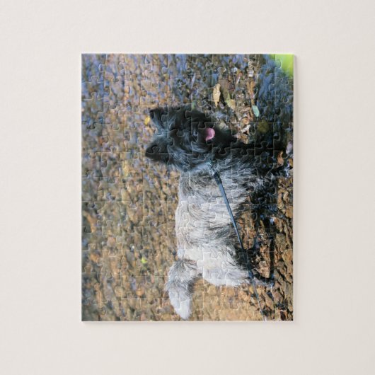 Puzzle cairn cool (Vertical)