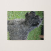Puzzle Cairn Terrier mignon (Horizontal)
