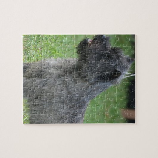 Puzzle Cairn Terrier mignon (Horizontal)