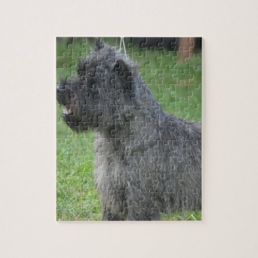 Puzzle Cairn Terrier mignon (Vertical)