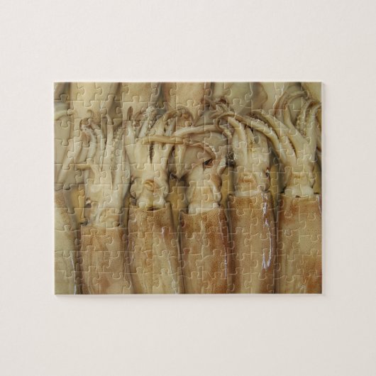 Puzzle Calamari (Horizontal)