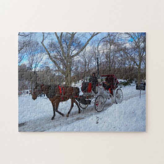 Puzzle Calèche dans Central Park New York. (Horizontal)