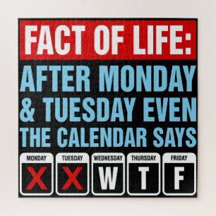 Puzzle Calendrier Fact of Life dit WTF Humour
