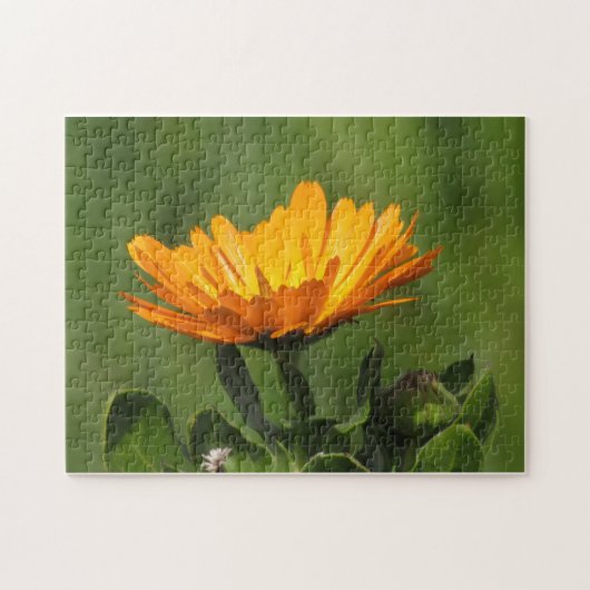 Puzzle - Calendula Blossom (Horizontal)