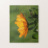 Puzzle - Calendula Blossom (Vertical)