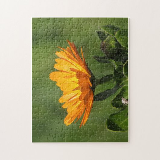 Puzzle - Calendula Blossom (Vertical)