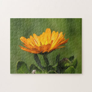 Puzzle - Calendula Blossom Legpuzzel