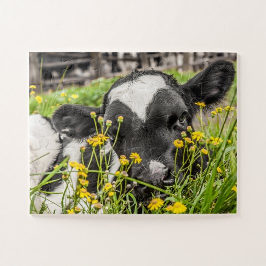 Puzzle Calf dans l'herbe et les fleurs (Horizontal)